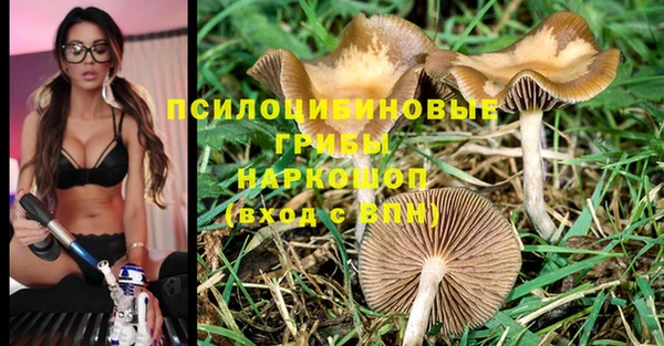 прущая мука Беломорск