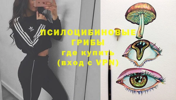 соль курить ск Белокуриха
