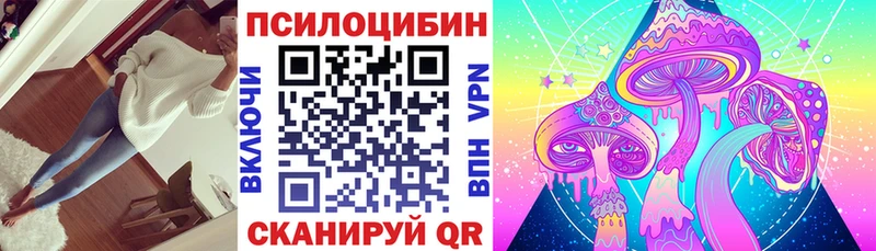 Купить где  Выкса  Галлюциногенные грибы GOLDEN TEACHER 